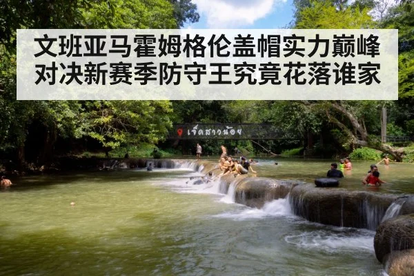 文班亚马霍姆格伦盖帽实力巅峰对决新赛季防守王究竟花落谁家